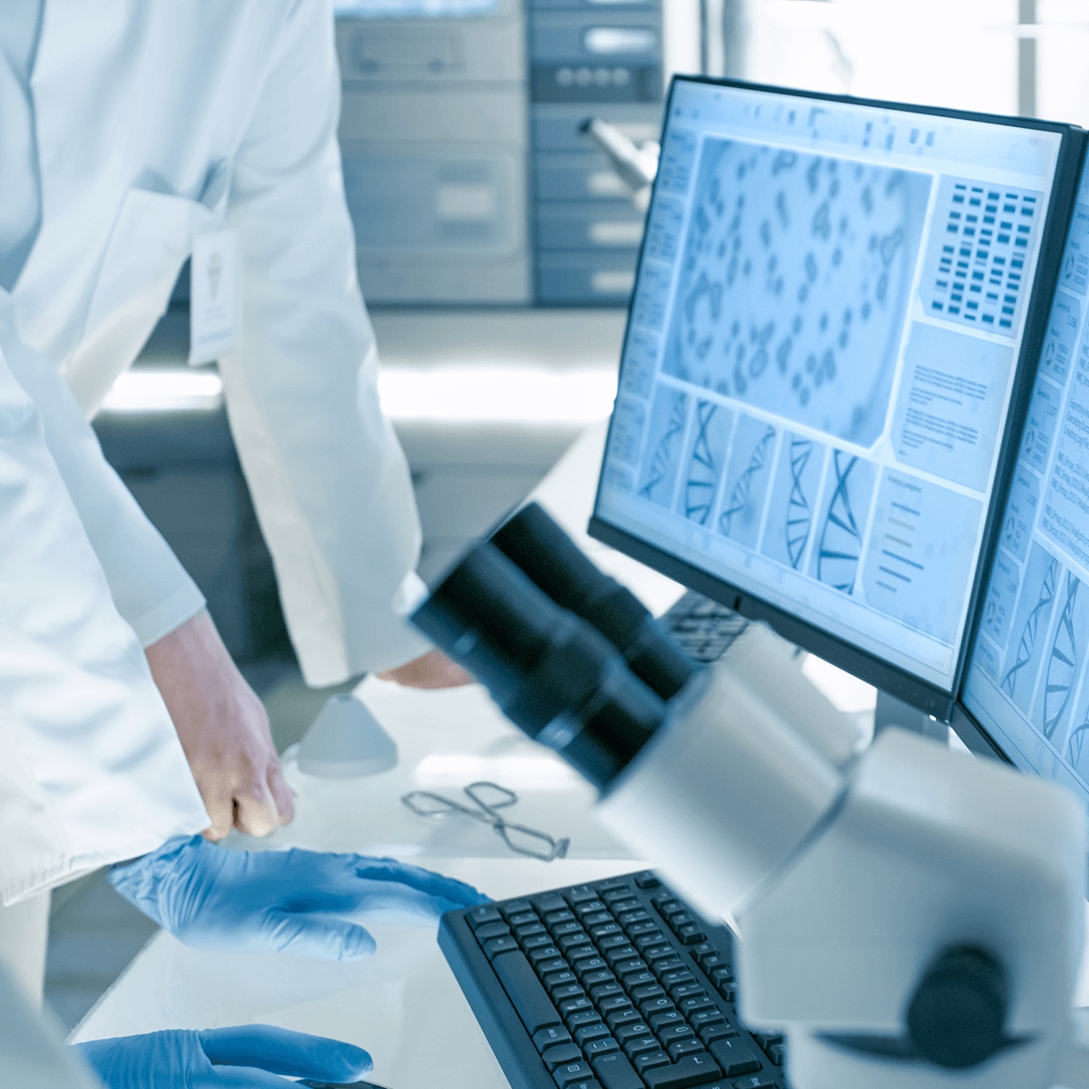 Doctor examining microscope slides on a computer screen.